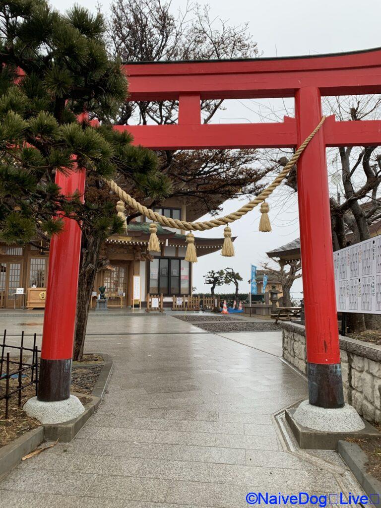 蕪島