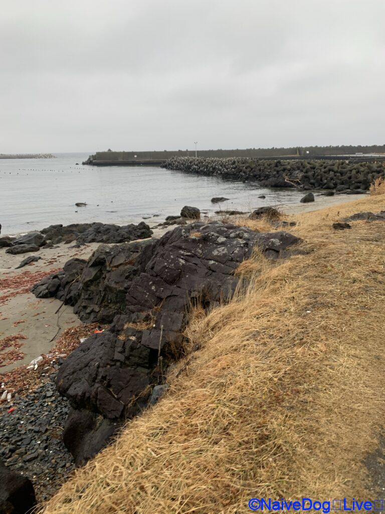 蕪島