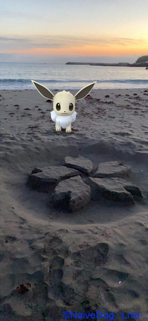 イーブイ 蕪島