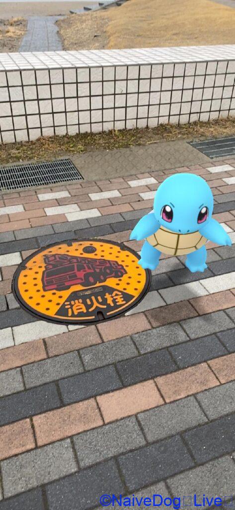 ゼニガメ 消火栓
