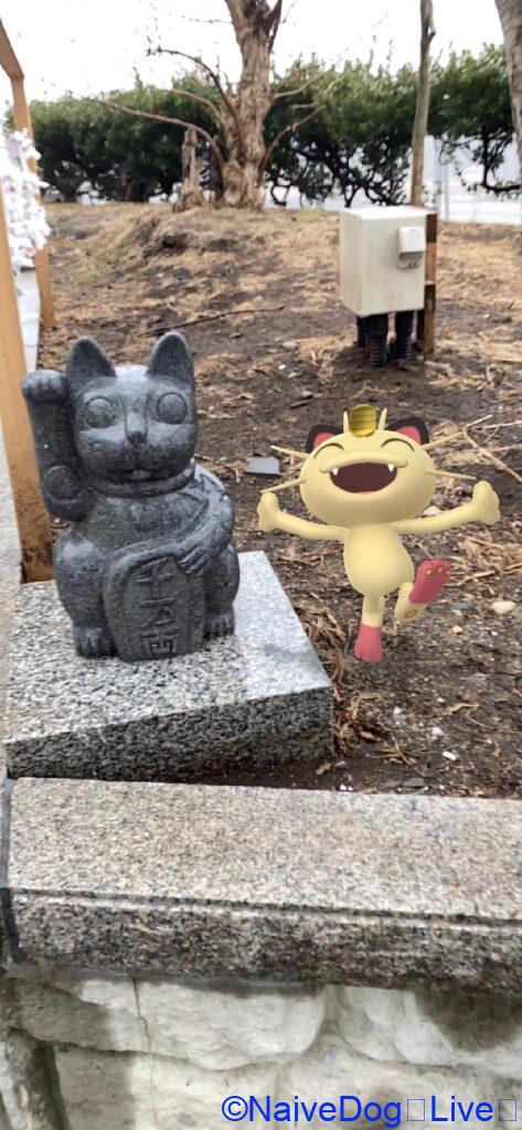 ニャース 蕪島