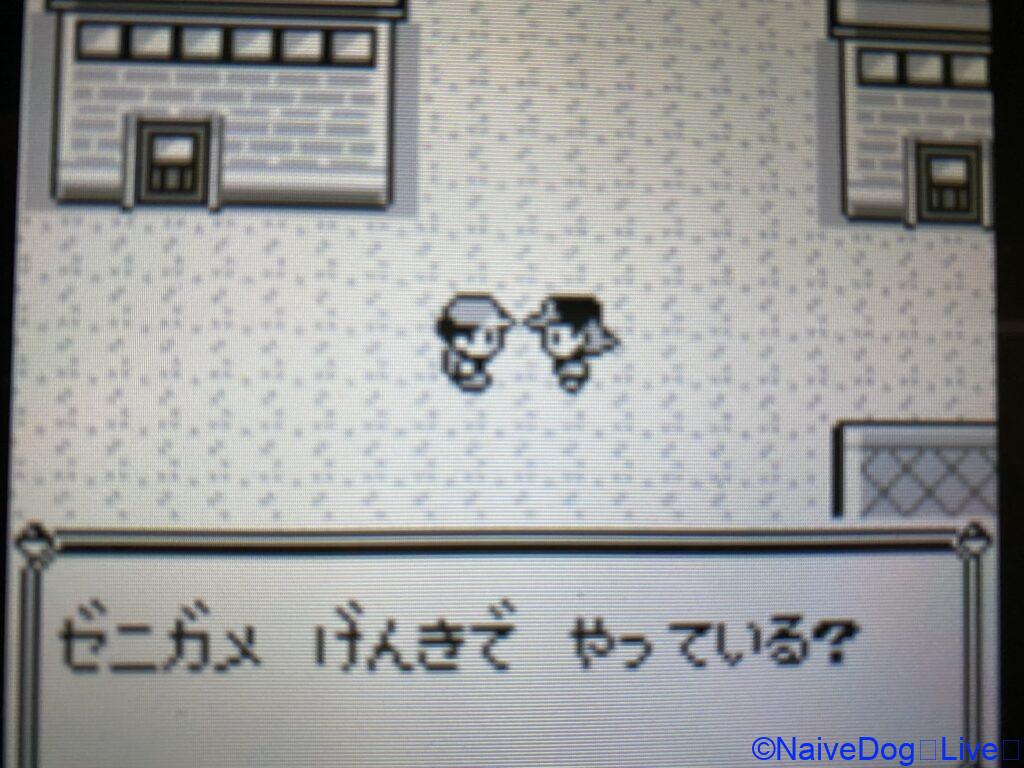クチバシティ