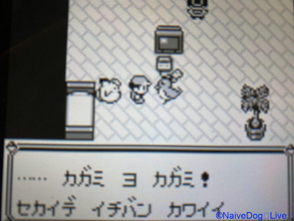ヤマブキシティ