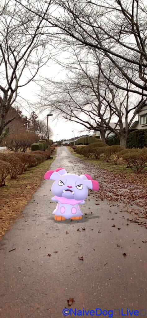 ポケモン ブルー