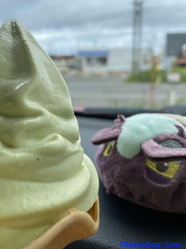 菜の花 ソフトクリーム