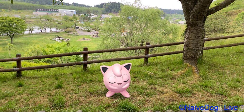 北丘陵下田公園