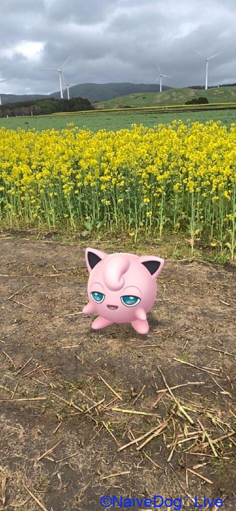 プリン