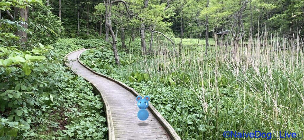 下田おいらせ公園