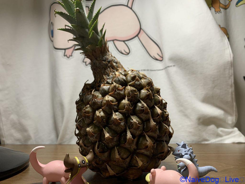 沖縄パイン
