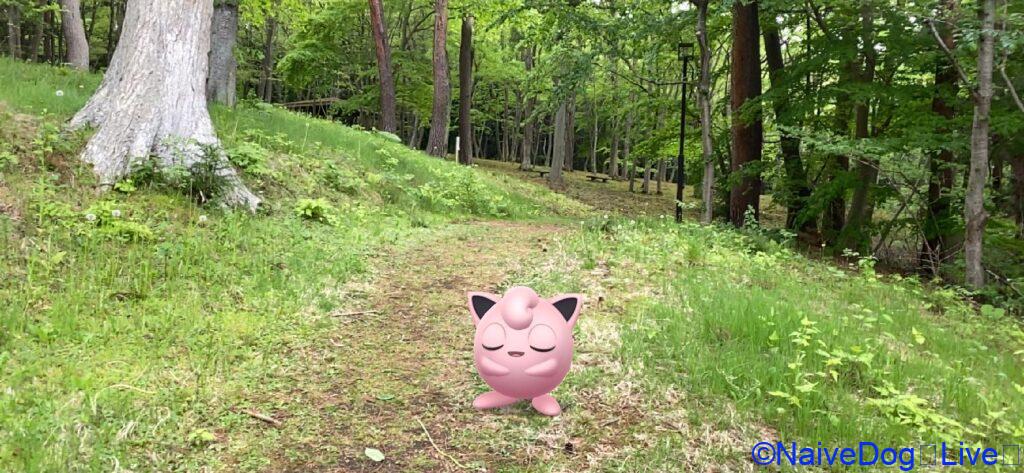 北丘陵下田公園