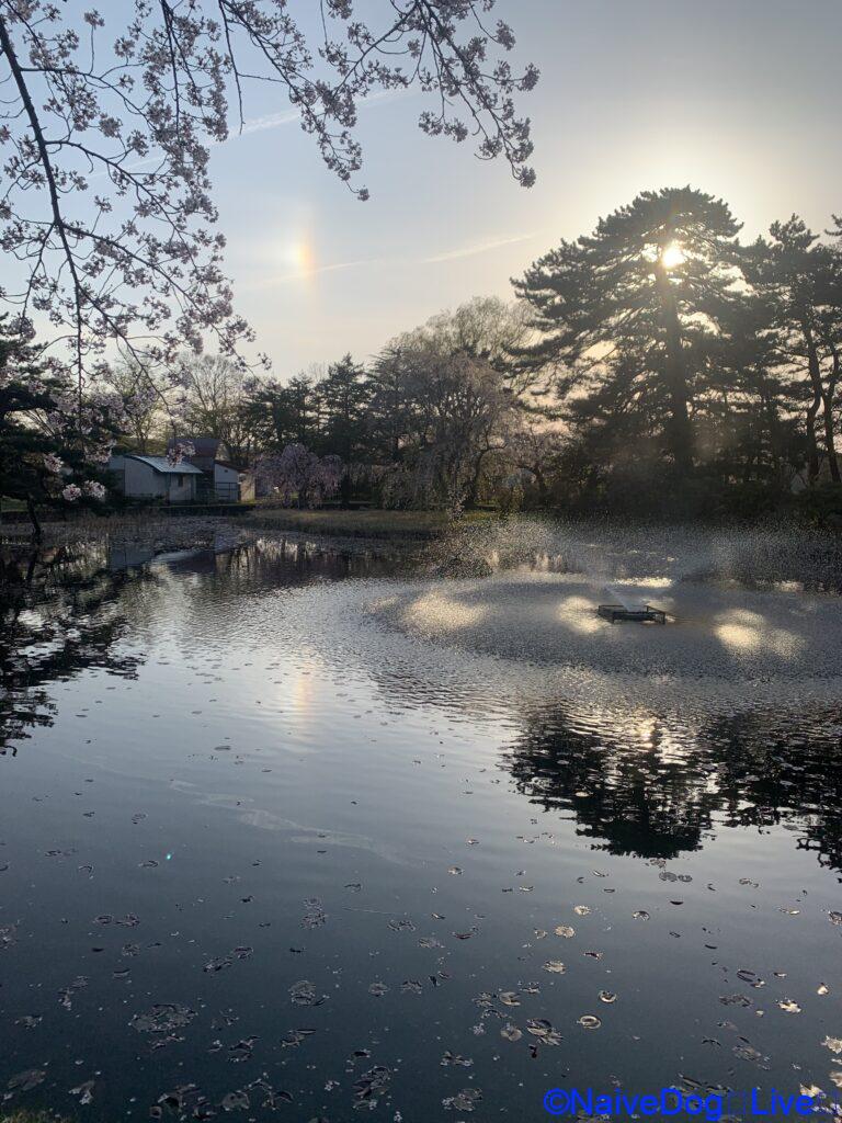合浦公園