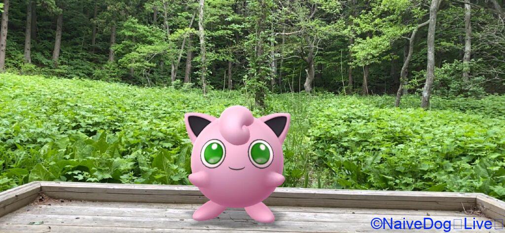 北丘陵下田公園