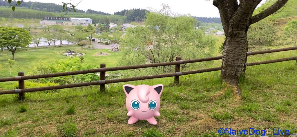 北丘陵下田公園