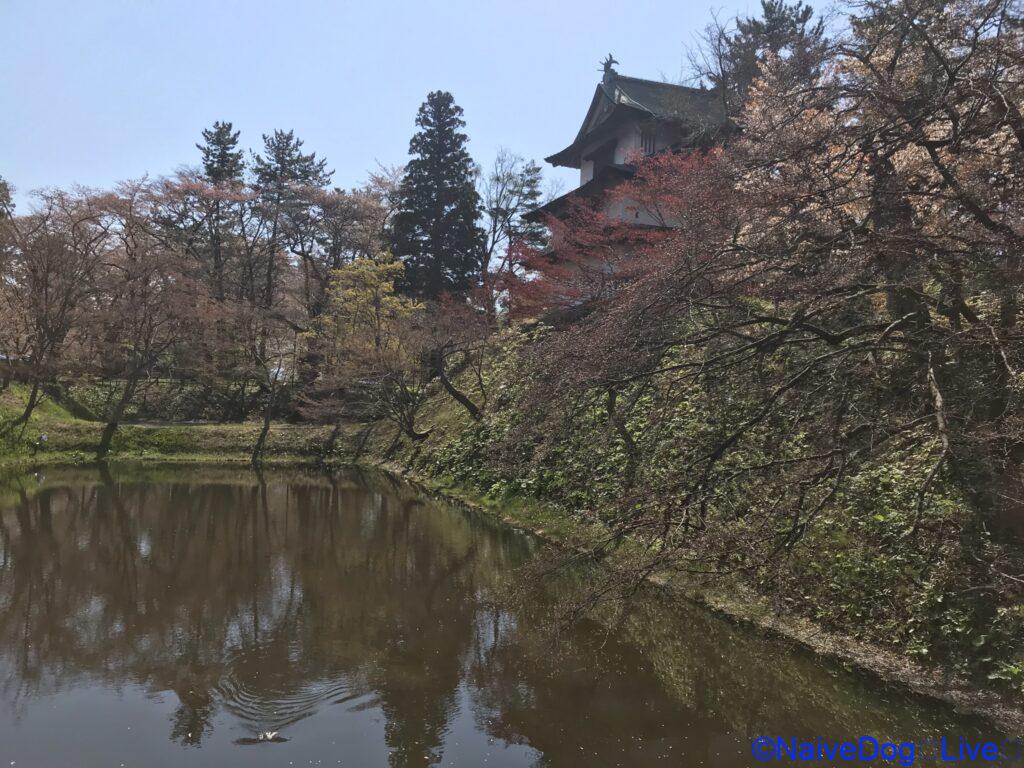 弘前さくらまつり