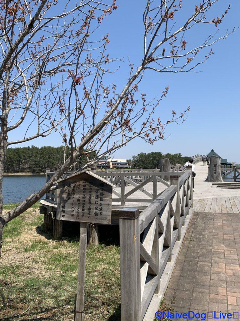 鶴の舞橋