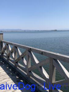 鶴の舞橋