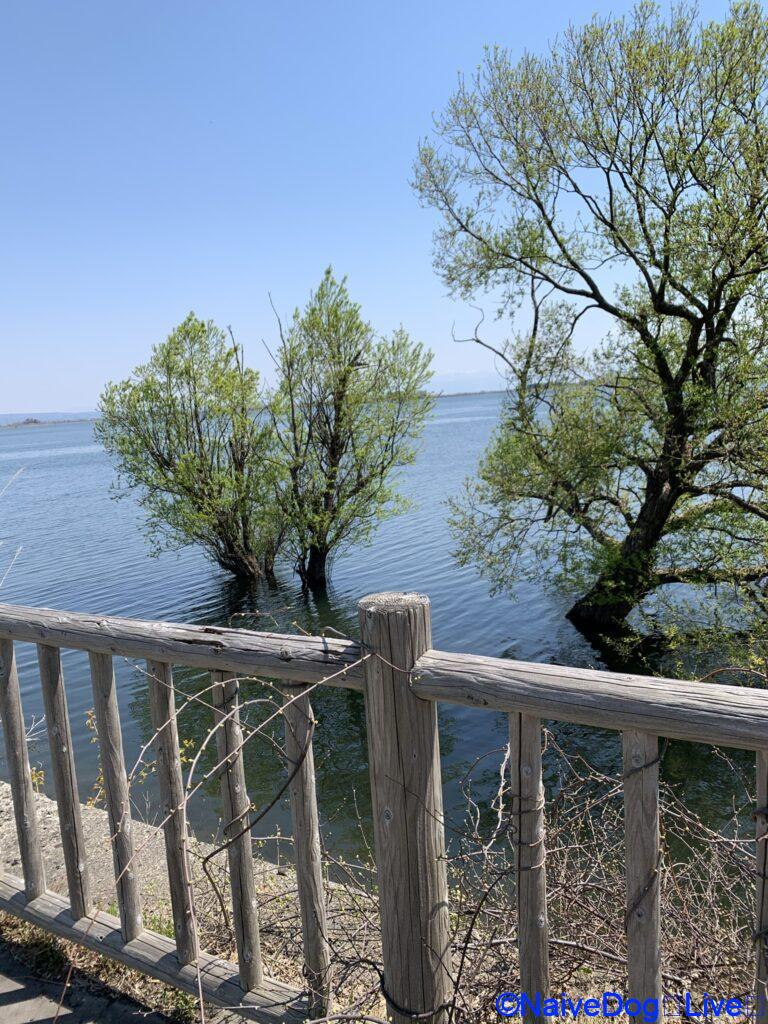 富士見公園