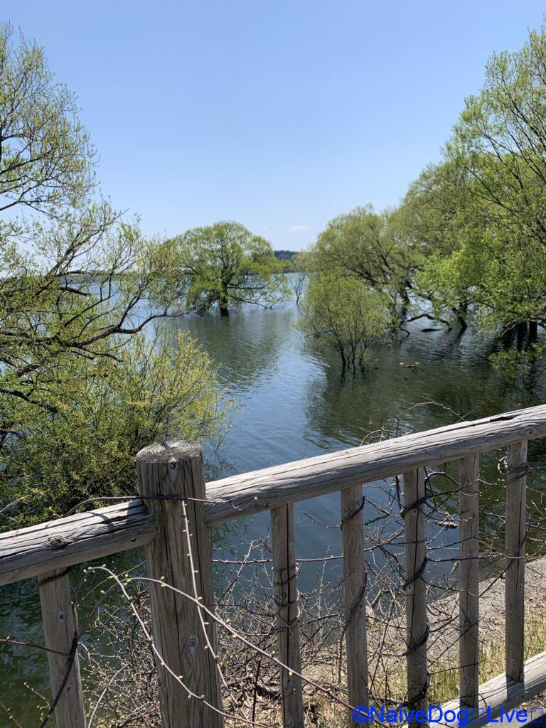 富士見公園
