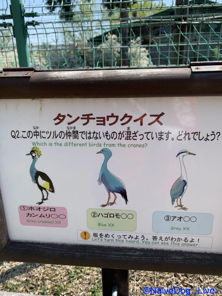 鶴の舞橋公園 鶴田町