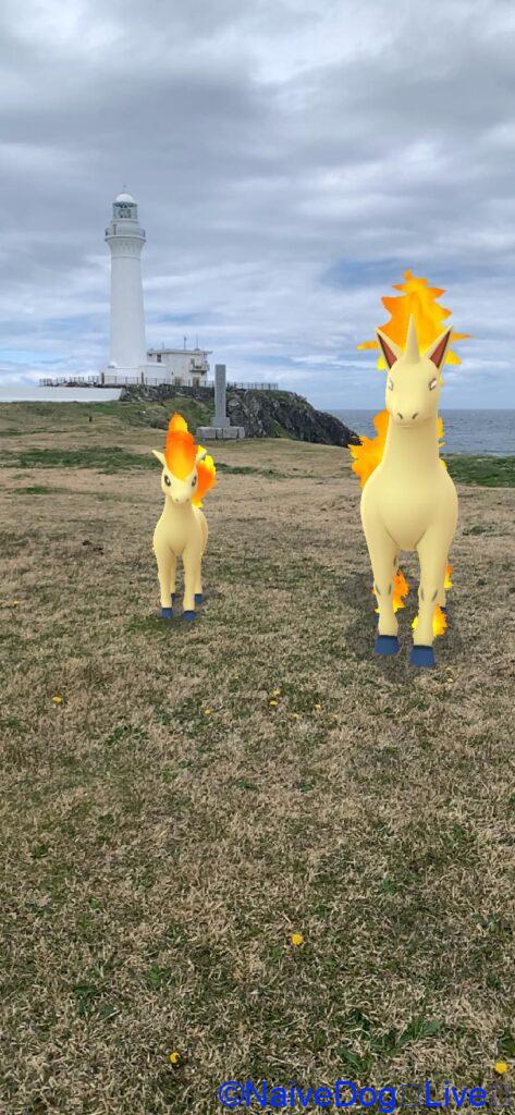 ポケモンGO ポニータ ギャロップ 尻屋崎灯台