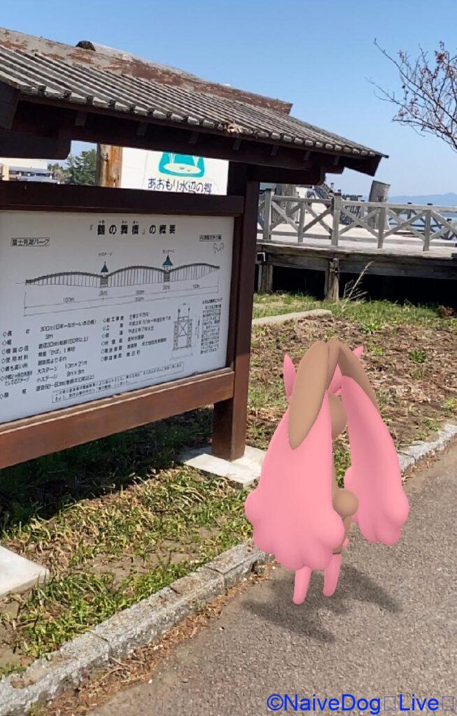 ミミロップ 鶴の舞橋