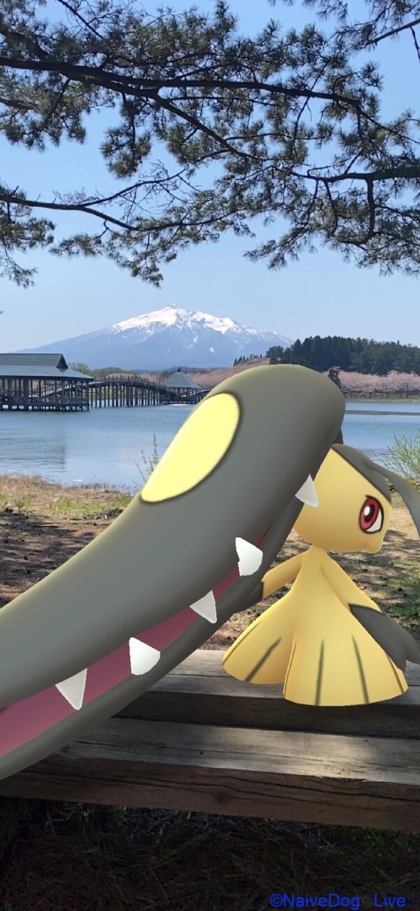 ｇｗの手前でこっそりと青森県の富士見湖パーク 鶴の舞橋 をポケモンｇｏする さくらを見るボッチ会