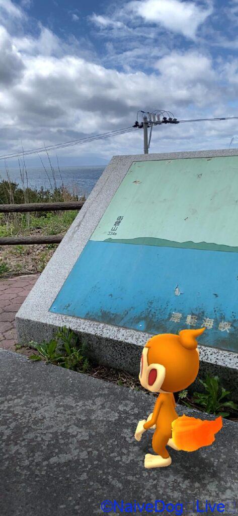 ポケモンGO 尻屋崎 ヒコザル