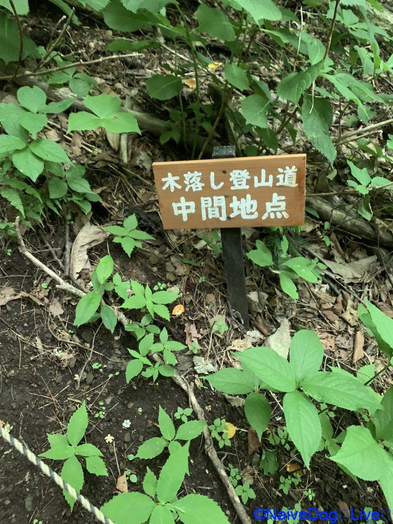名久井岳