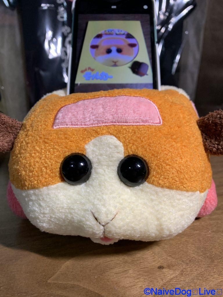 モルカー