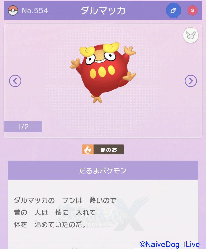ダルマッカ
