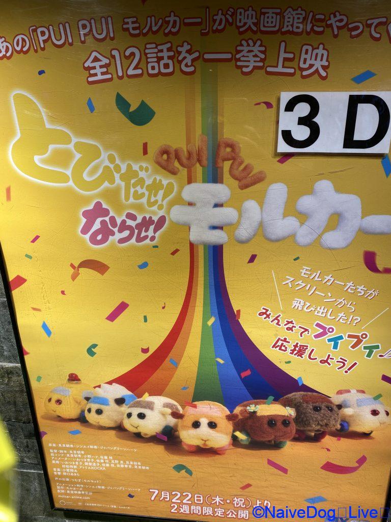 モルカー映画