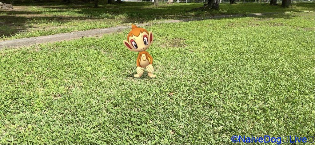 ヒコザル