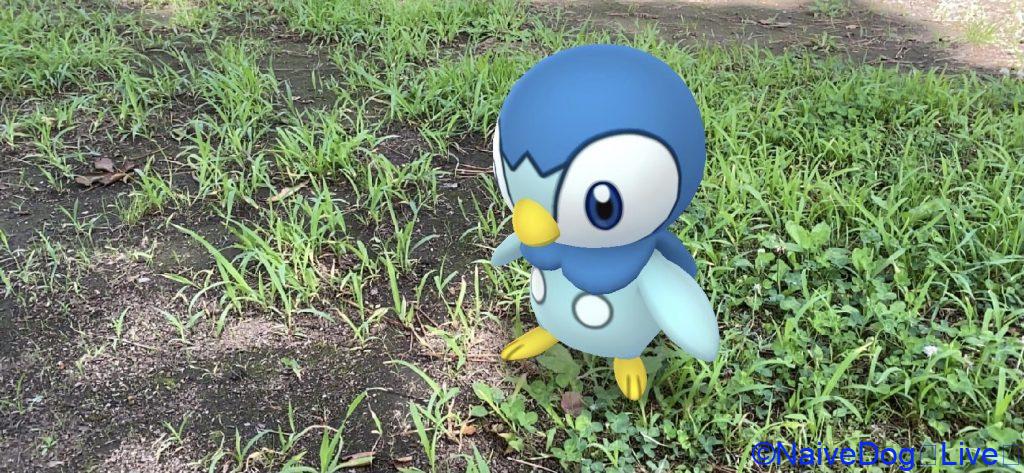 ポッチャマ