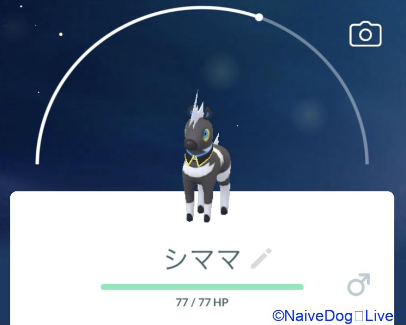 シママ