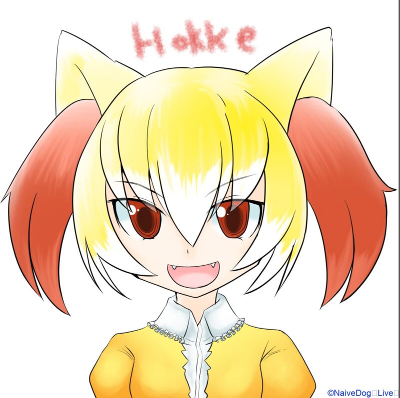ホッケ