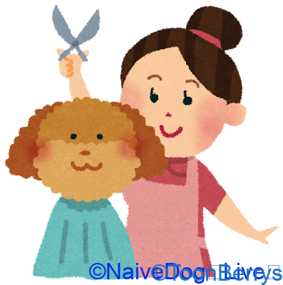 エガちゃんをカッコ良くする美容室 Egashira 2 50 Become A Cool Guy Naivedog Lives エガちゃんをカッコ良くする美容室 Egashira 2 50 Become A Cool Guy Naivedog Lives