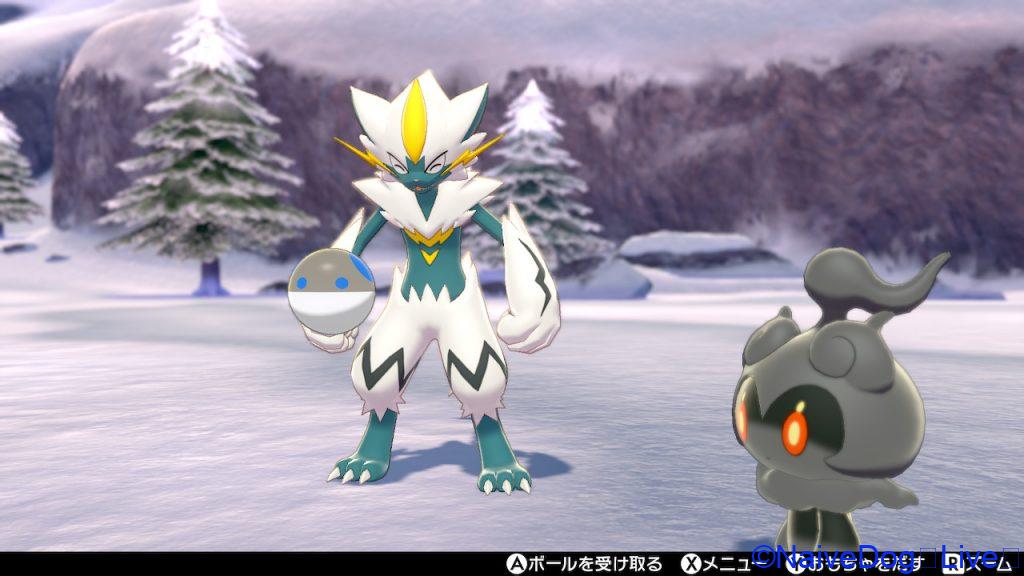 映画ポケモン