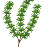 つがるの千本鳥居 朱色と白の世界 ポケモンgo Naivedog Lives