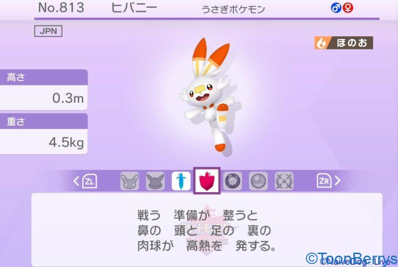 ヒバニーは進化させない方が可愛い 今年を代表するポケモンがうまく捕まえられない動画を見る ヒバニーは進化させない方が可愛い 今年を代表するポケモンがうまく捕まえられない動画を見る